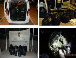 71 kilo esrar ele geçirildi