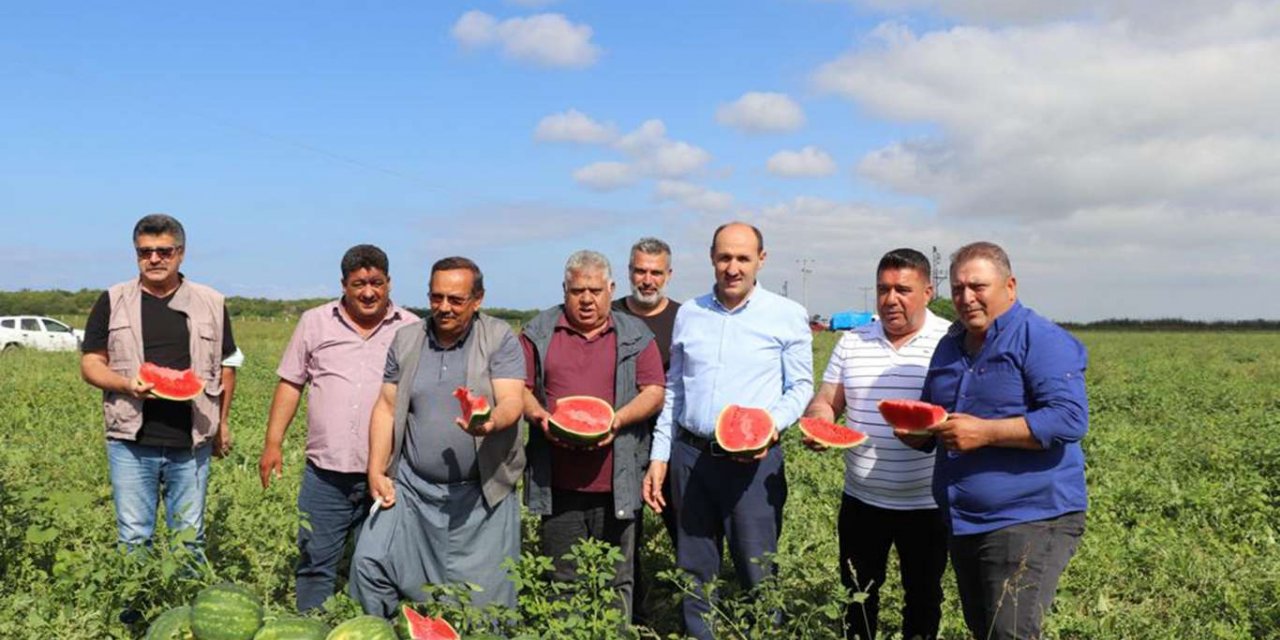 Adana'da karpuz hasadı başladı