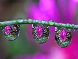 Sê Mehên Pîroz Destpê Dikin