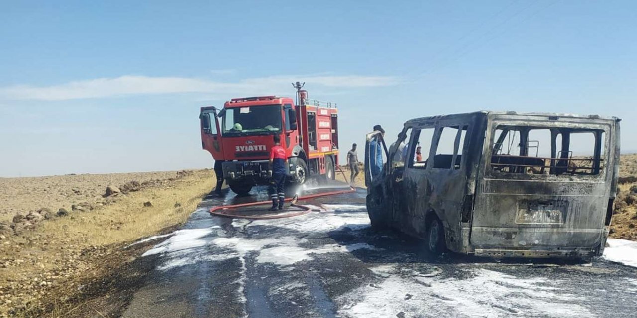 Büyükbaş hayvanlara çarpan araç alev alarak yandı