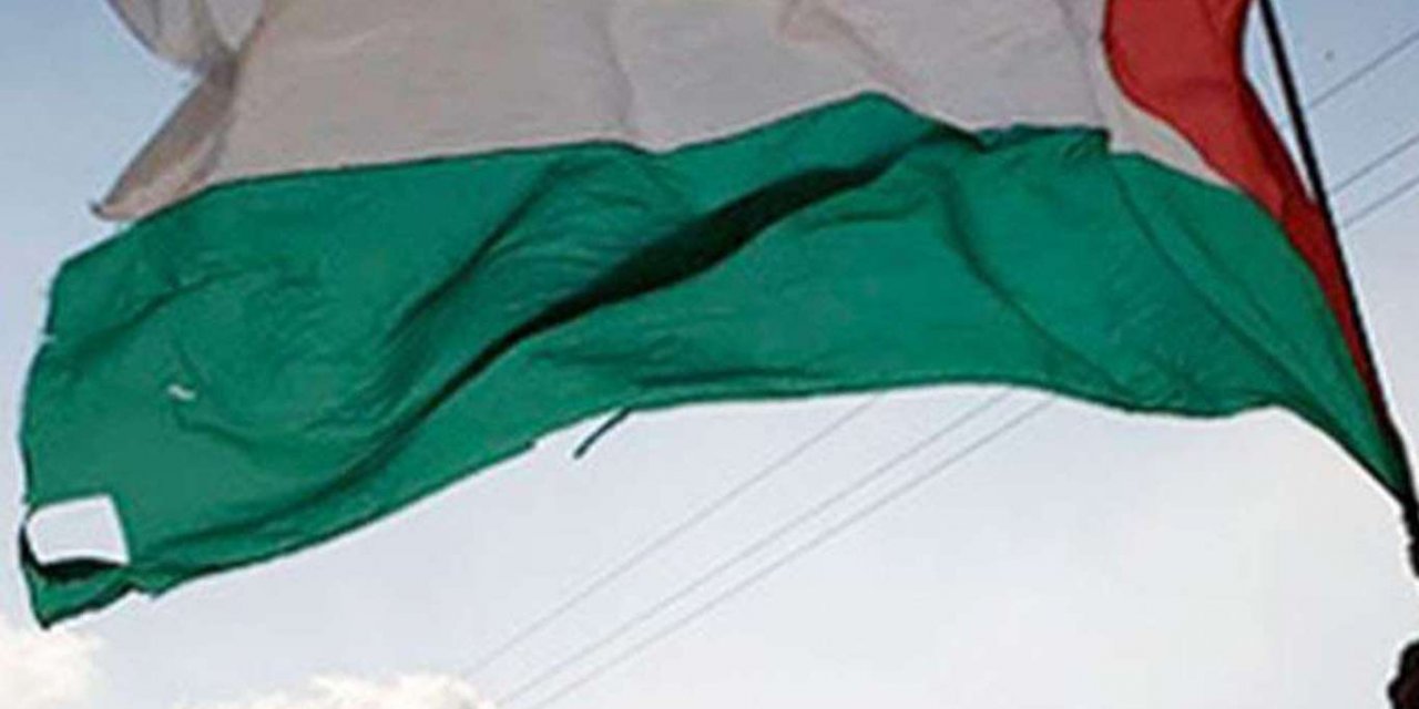 Kuzey Kıbrıs'ta Filistin’e destek gösterisi