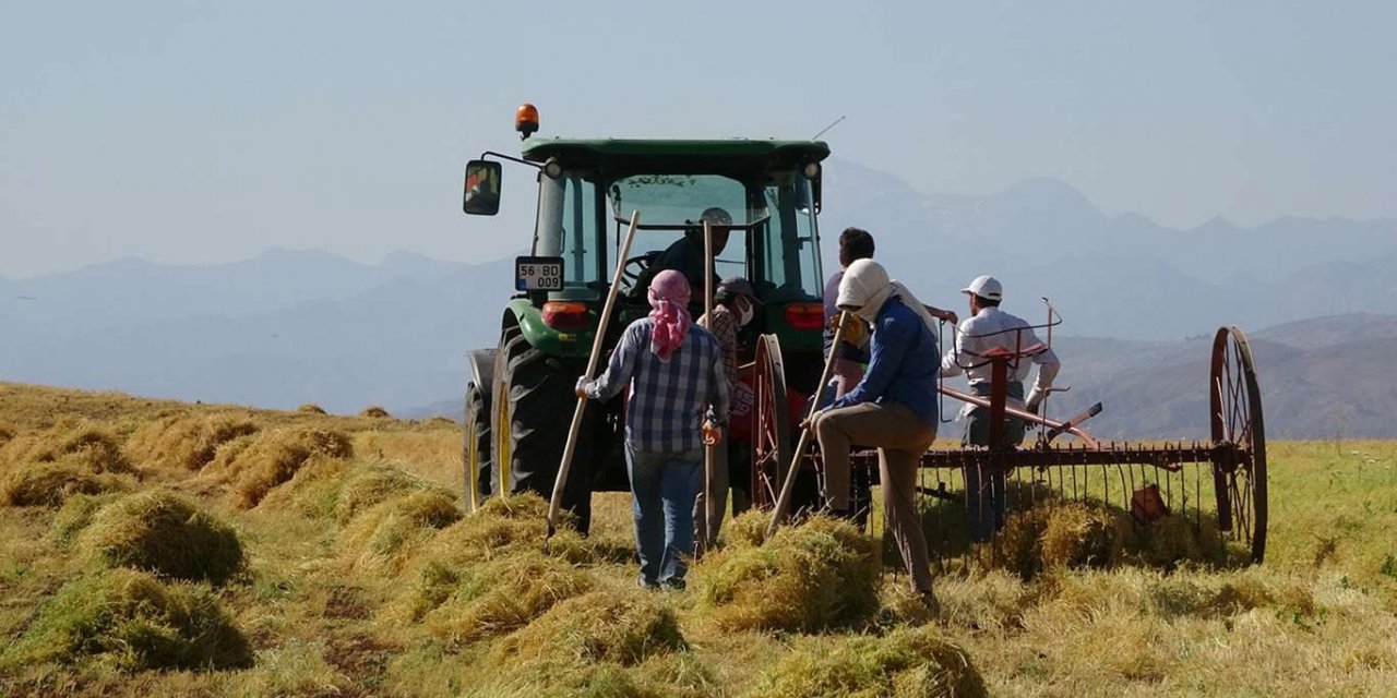 Li Sêrtê ji ber hişkesalîyê paleyîya nîskan îsal zû dest pê kir