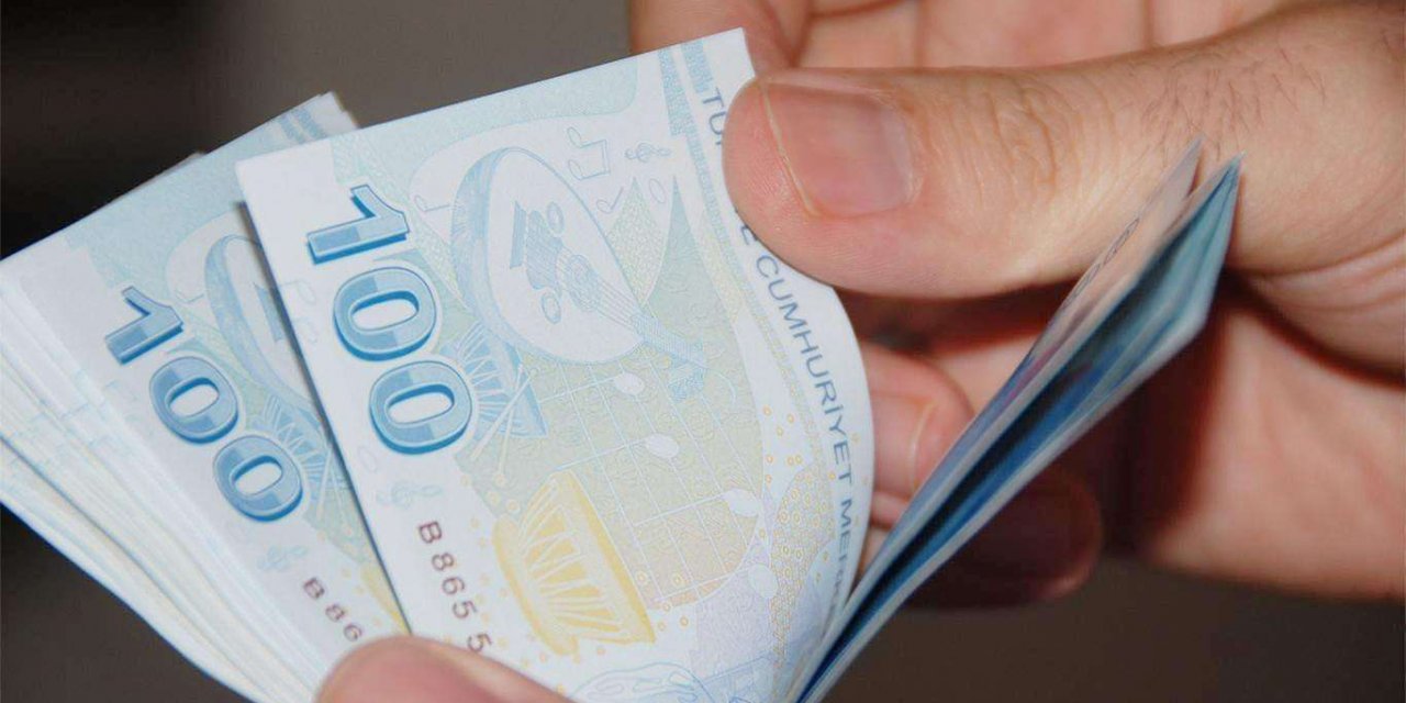 Esnafa hibe desteği başvuruları 25 Mayıs'tan itibaren e-Devlet üzerinden yapılabilecek