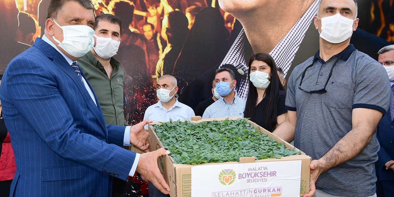 Dondan zarar gören Malatyalı çiftçilere sebze fidesi desteği