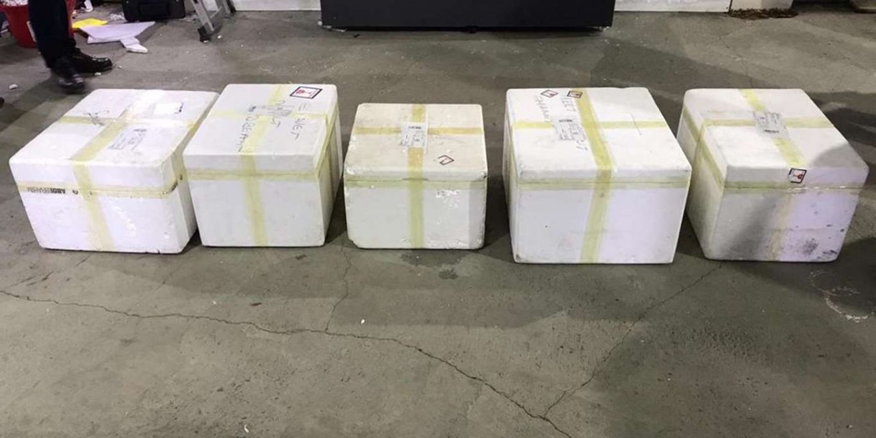 Durdurulan kargo aracında 40 kilogram eroin ele geçirildi