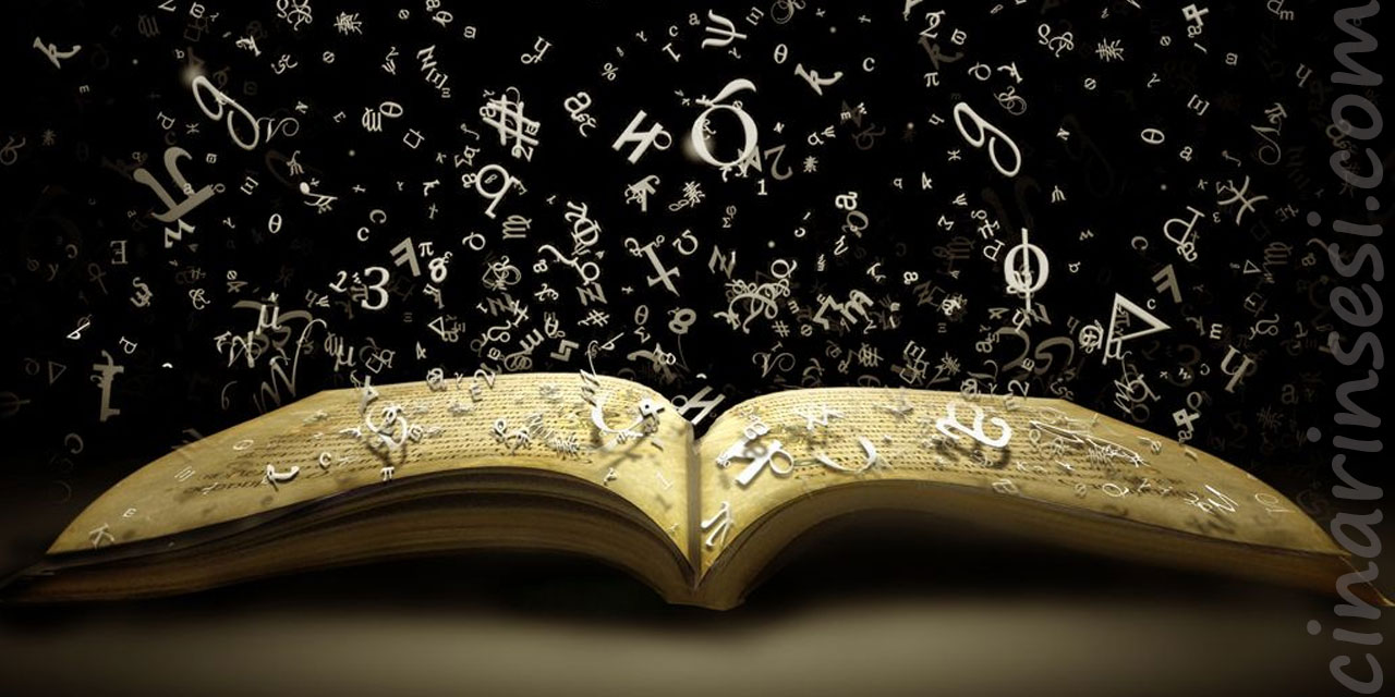 Okumada Devamlılık ve Mesleki Anlam Arayışı