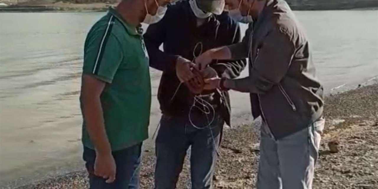 Van'da kaçak balık avcılarına yönelik denetimler devam ediyor