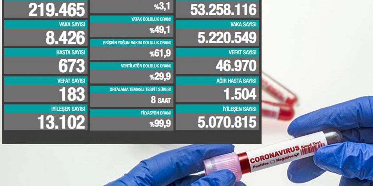 Türkiye'de Coronavirus: Son 24 saatte 183 can kaybı, 8 bin 426 yeni vaka