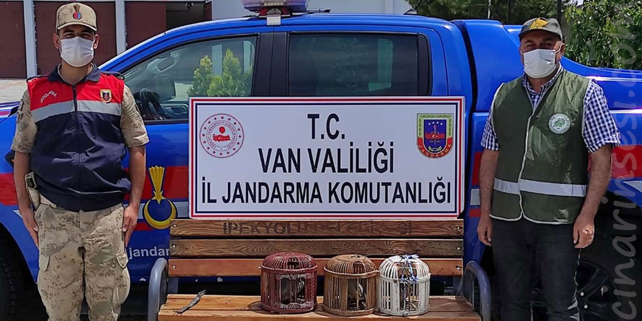 Van Muradiye Ünseli Mahallesi'nde keklik avlayan şahsa 4 bin TL ceza verildi