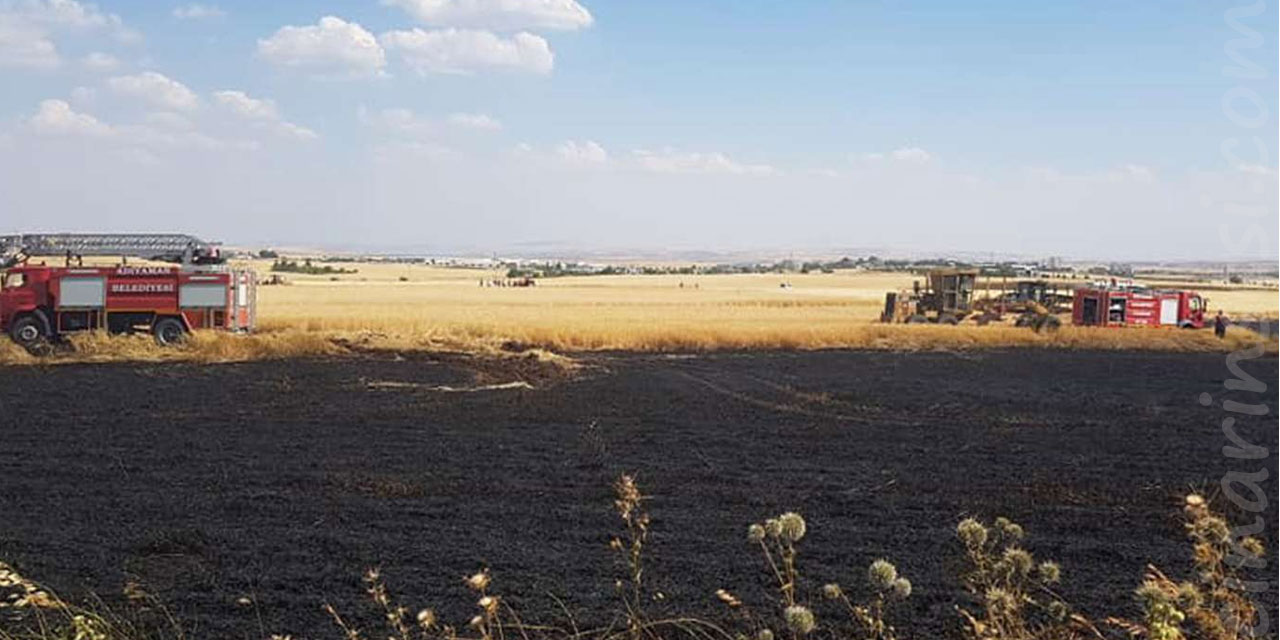 Adıyaman'da yüzlerce dönüm ekili alan kül oldu