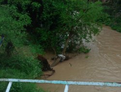 Sel ve fırtına ağaç devirdi