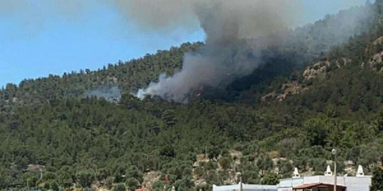 Muğla'daki orman yangını yerleşim alanlarına yaklaştı