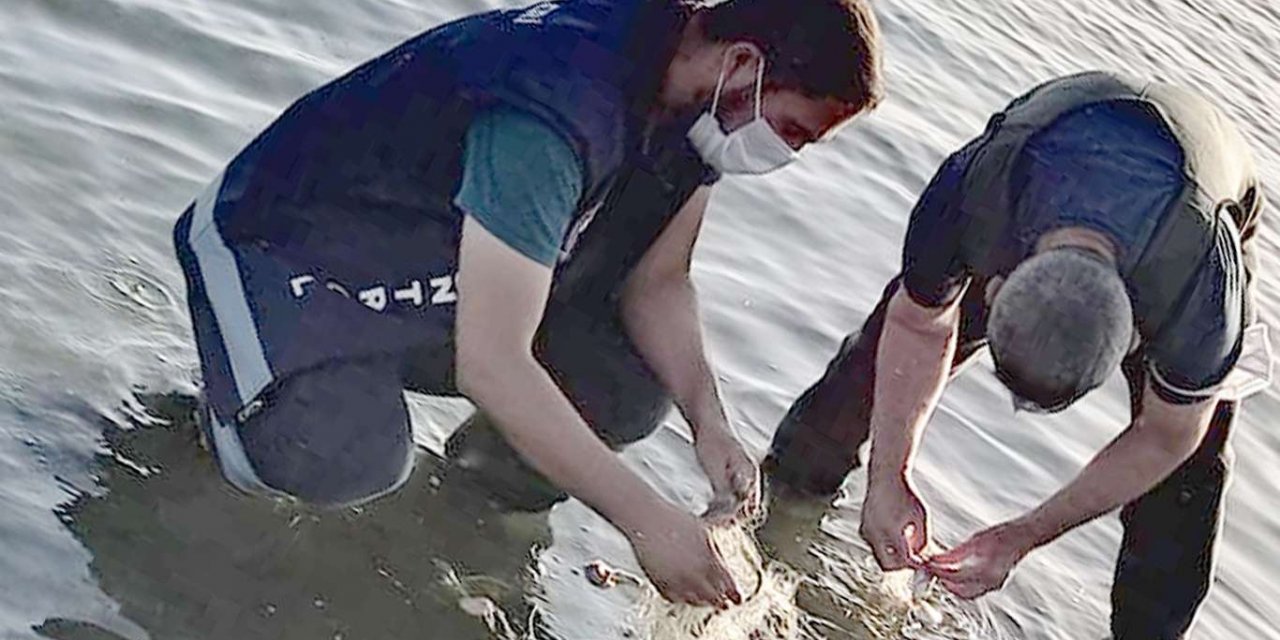 İnci Kefali avlayan 5 kişiye 9 bin 200 TL para cezası kesildi