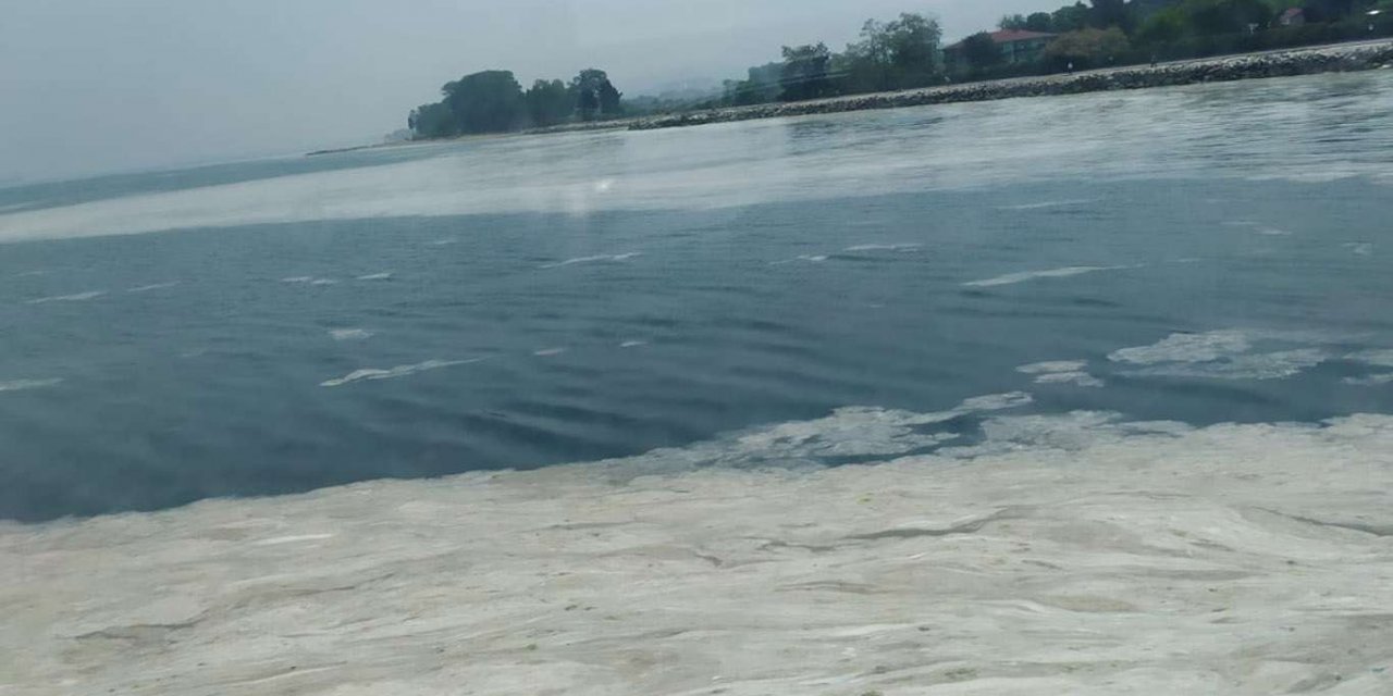 Marmara Denizi'nde görülen deniz salyası aylardır devam ediyor