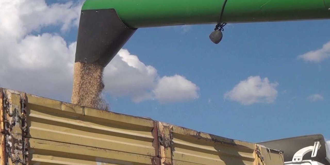 Adıyaman Buğday Pazarı Başkanı: Rekolteyi yükseltmek için sulu tarıma geçmek gerekiyor