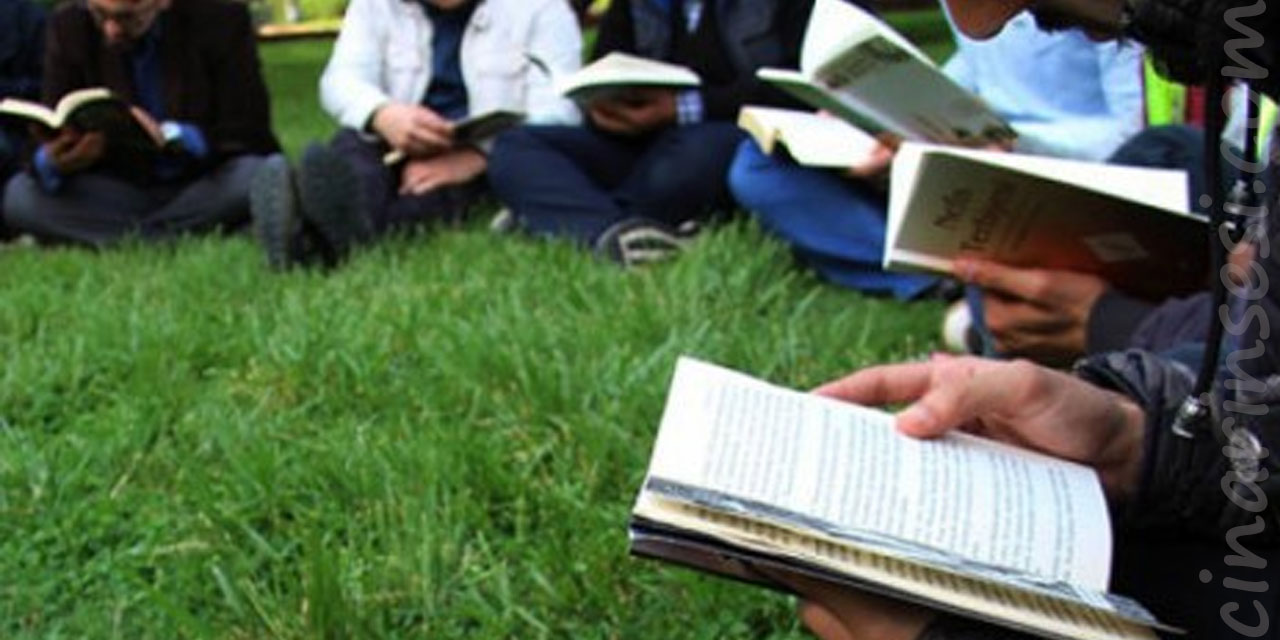 Okuma Eylemi Üzerine