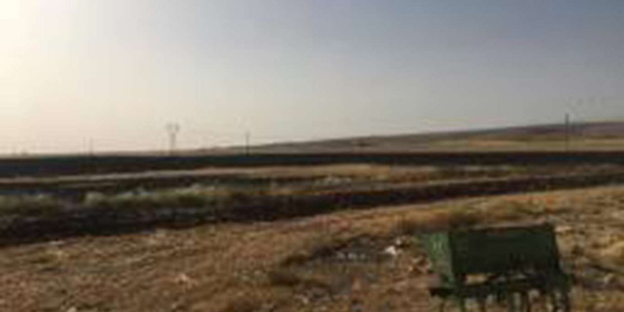 Buğday tarlasında çıkan yangın büyük zarara yol açtı