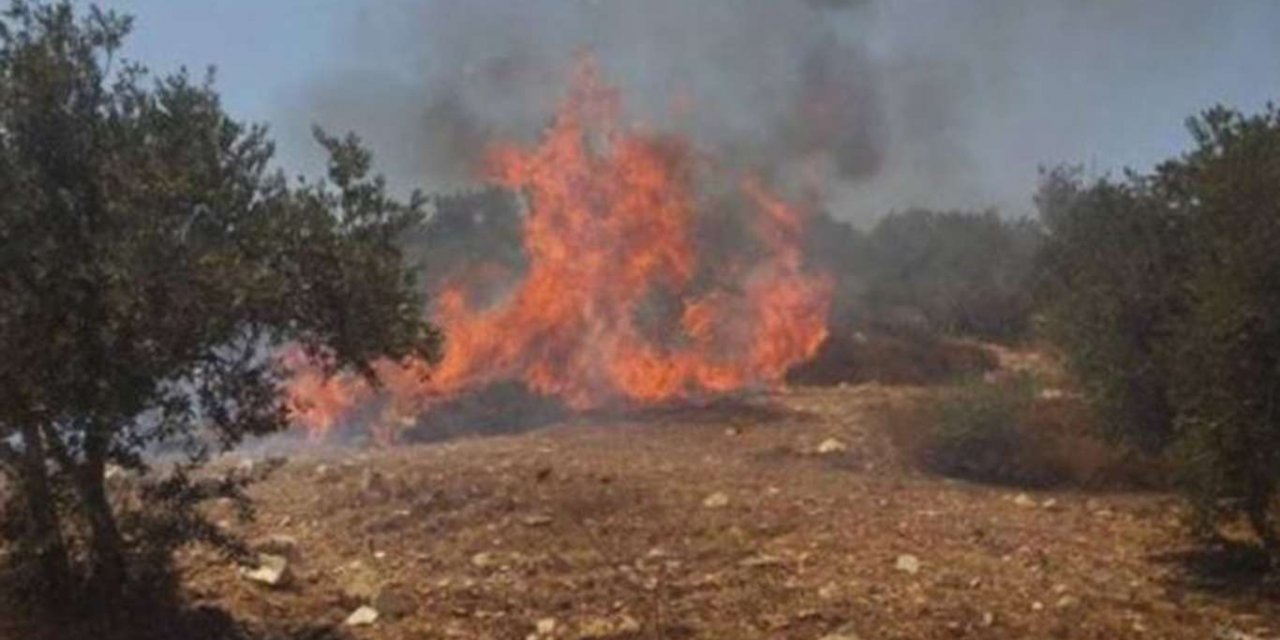 Siyonist işgalciler el-Halil’de Filistinli çiftçilerin ekinlerini ateşe verdi