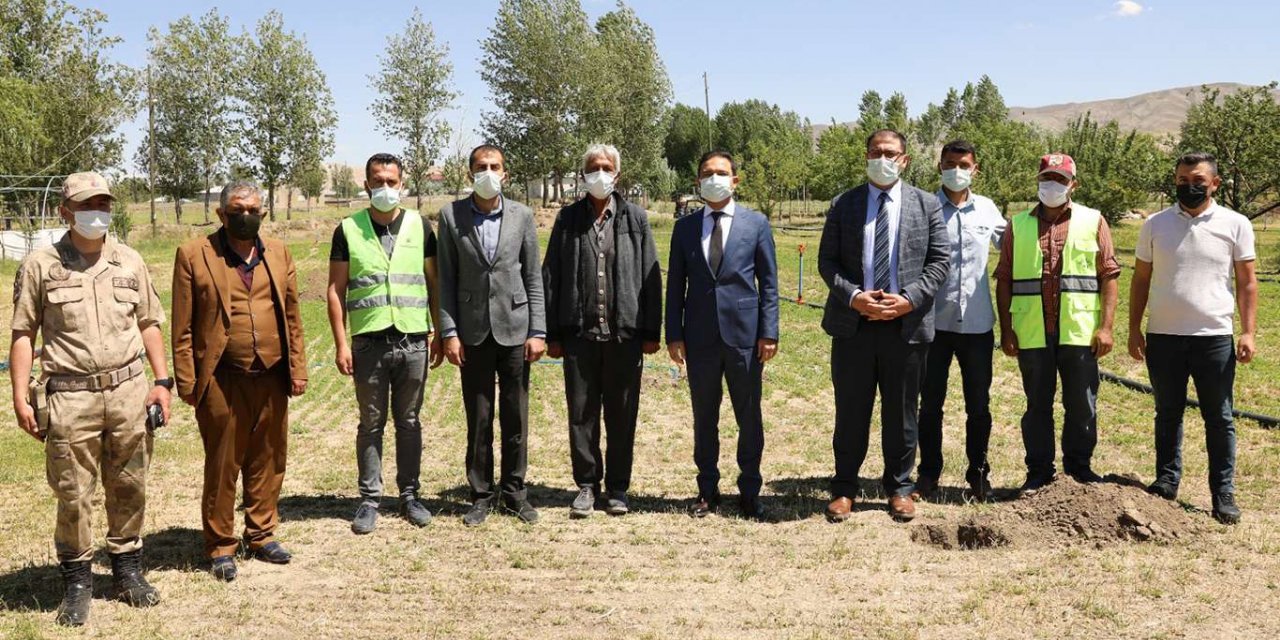 Van'da çiftçilere yaklaşık 2 bin ceviz fidanı dağıtıldı