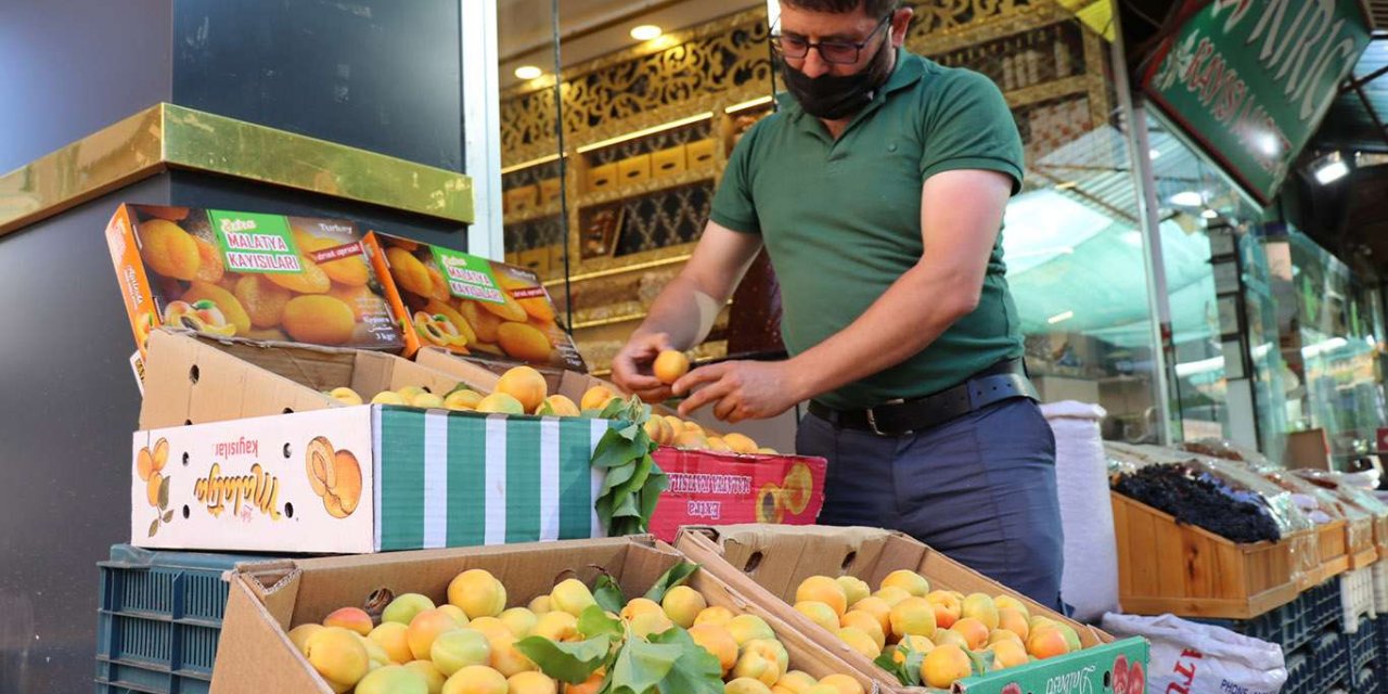 Malatya kayısısının ilk mahsulü tezgâhlardaki yerini aldı