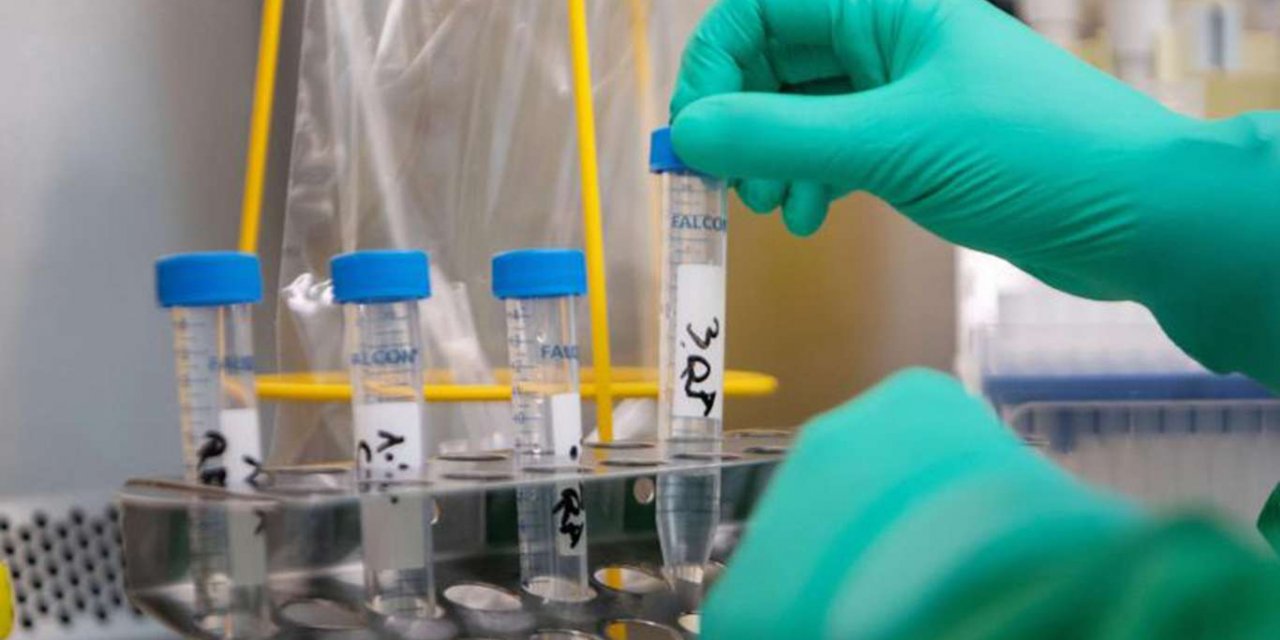 Coronavirus worldwide: The number of confirmed cases reaches 173,333,480