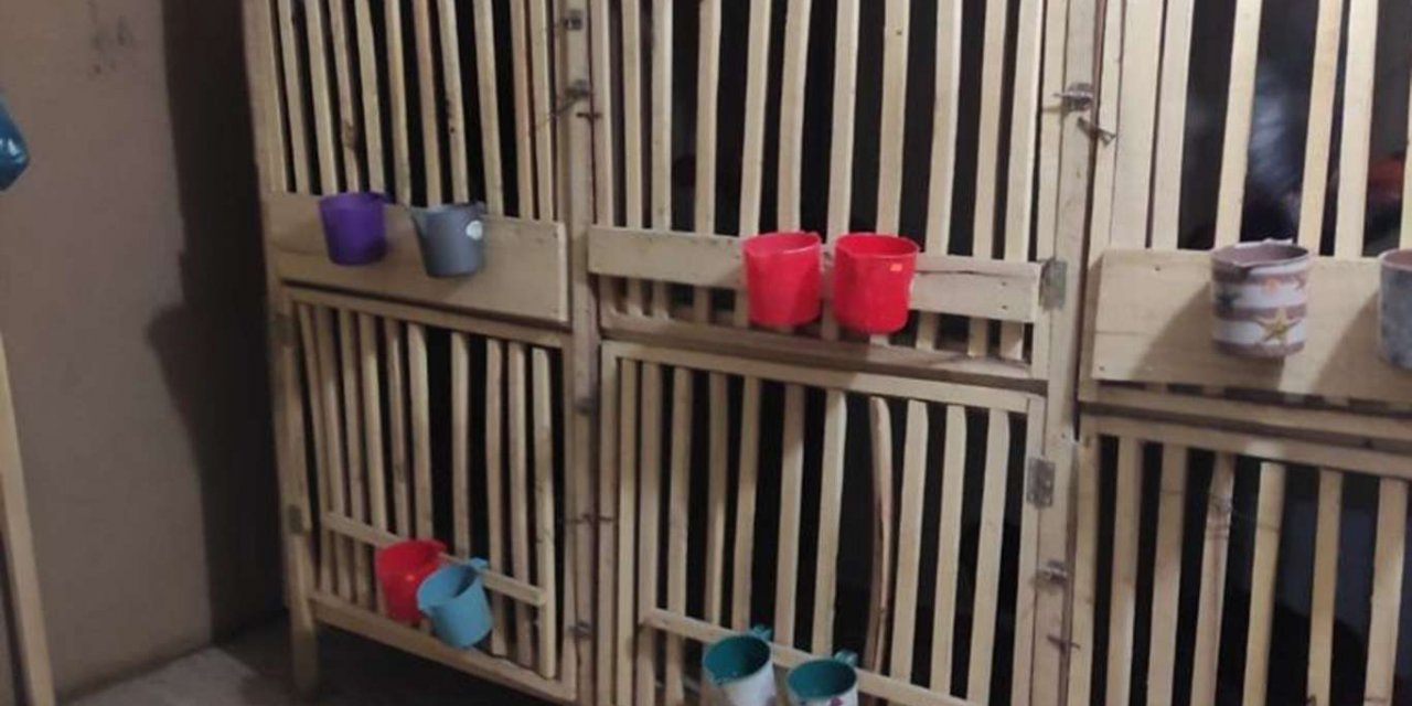 Horoz dövüştüren 24 kişiye 32 bin TL ceza verildi