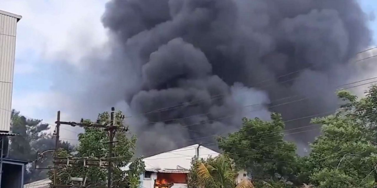 Hindistan'da dezenfektan üreten tesiste yangın: 17 ölü