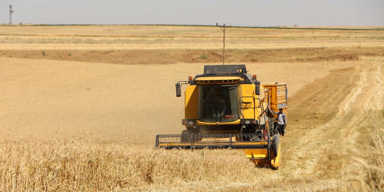 ​Kuraklıktan olumsuz etkilenen çiftçinin yüzü sulu buğdayda güldü