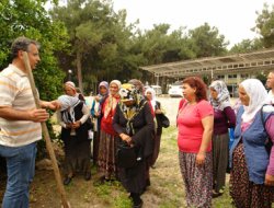 Mersin'de çiftçi eğitim çalışmaları sürüyor