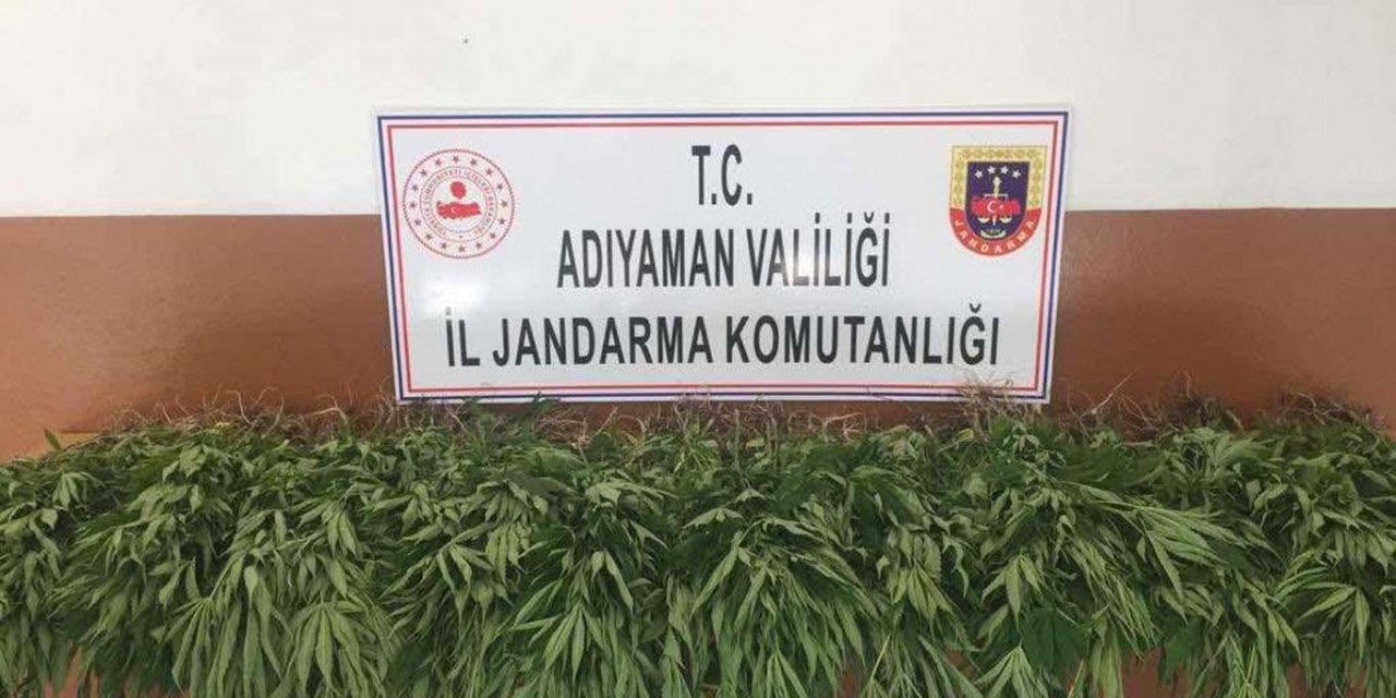 Adıyaman'da uyuşturucu operasyonu