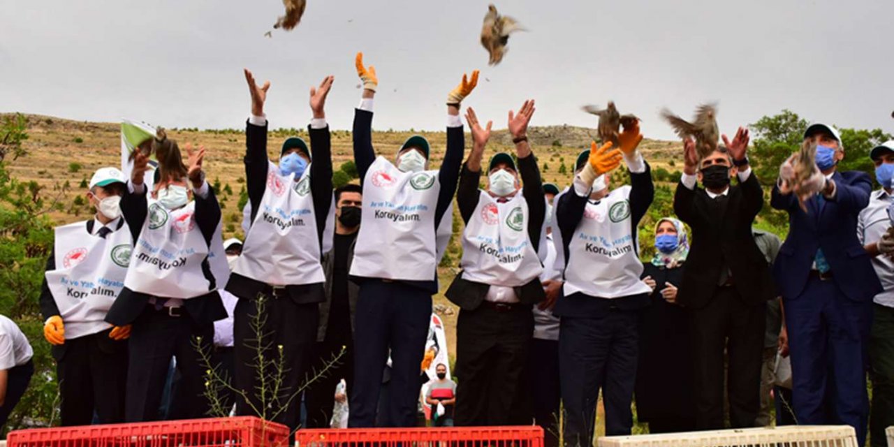 ​Doğaya 30 bin keklik salındı