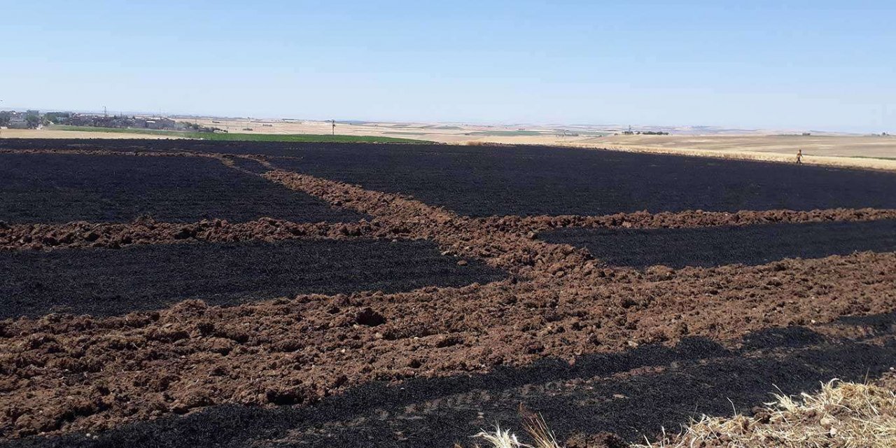 Çınar'daki tarla yangınında 20 dönümlük arazi yandı