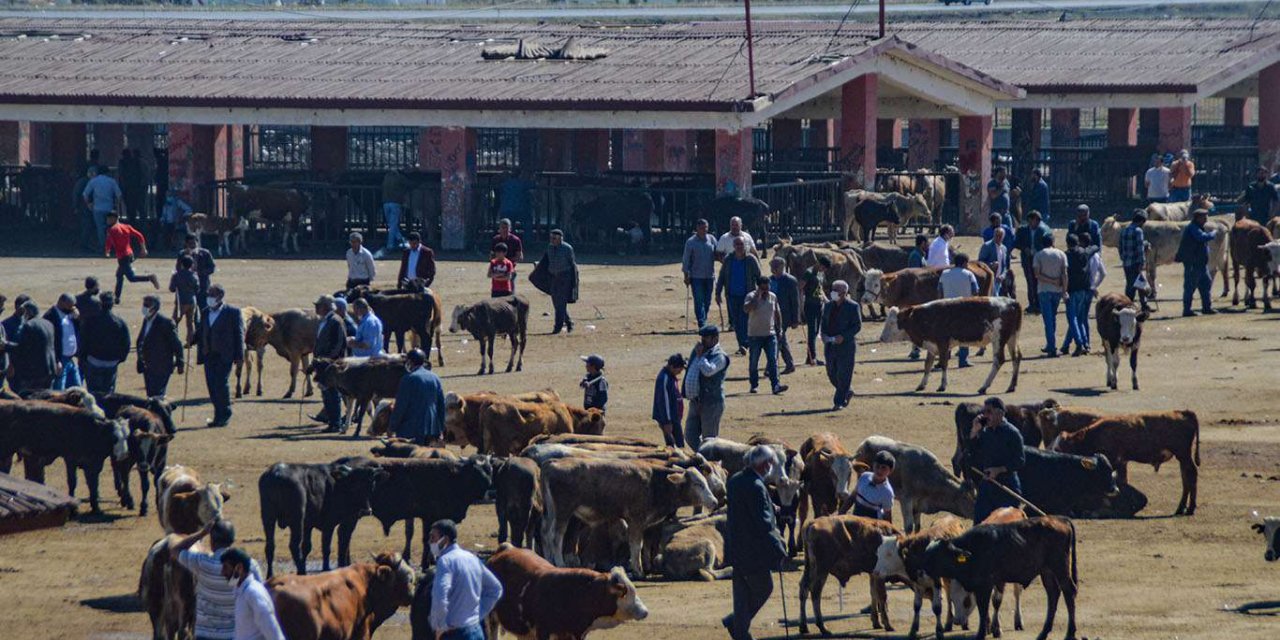 Samanın stoklandığı iddiası kurbanlıklarda hareketliliği düşürdü