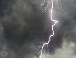 Yıldırım çarptı, 20 koyun telef oldu