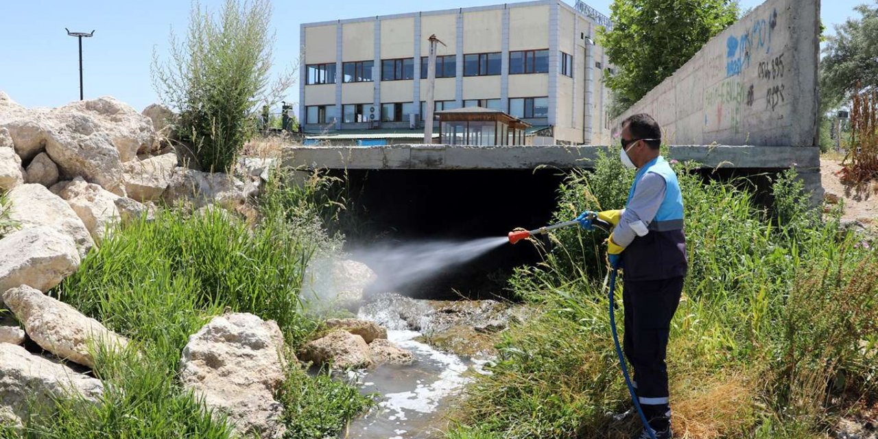 Van Büyükşehir Belediyesi: "İlaçlama çalışmaları sinek popülâsyonunu azalttı"