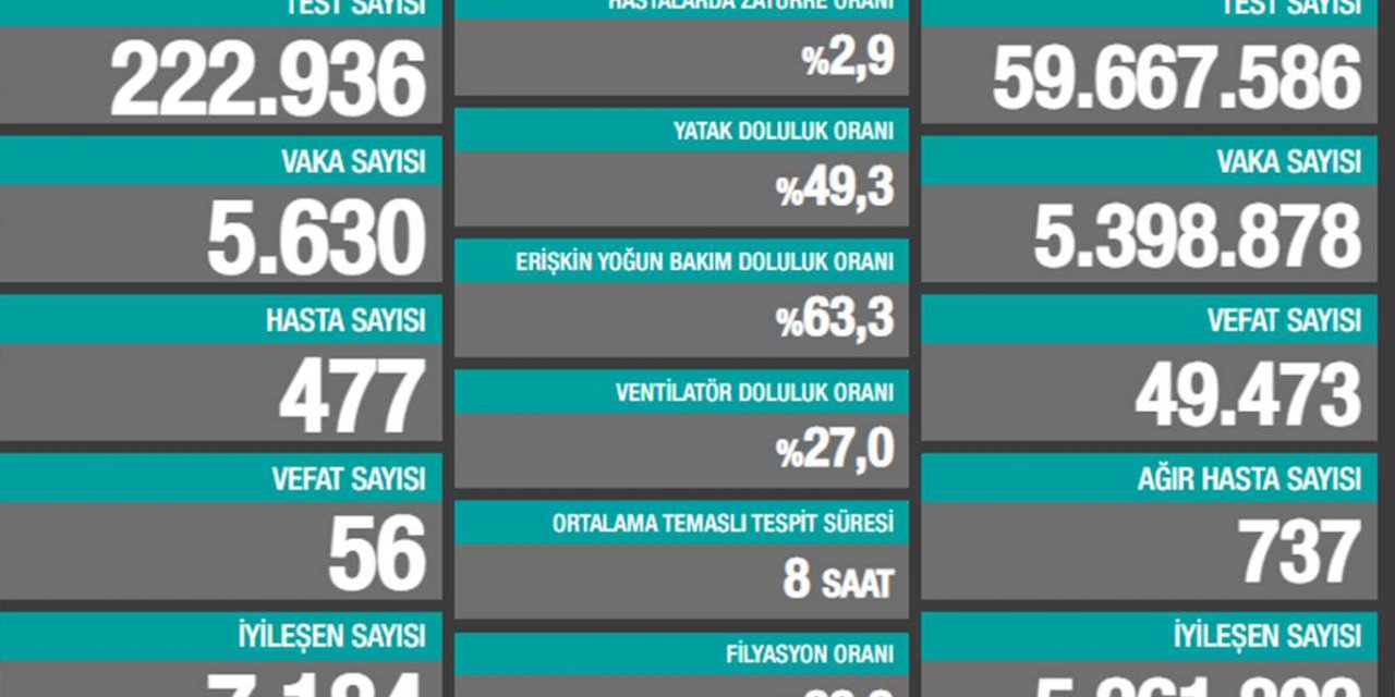 Türkiye'de son 24 saatte 56 kişi Covid-19 nedeniyle hayatını kaybetti