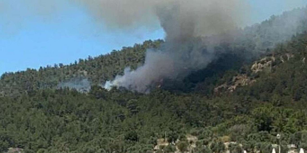 Marmaris'te orman yangını