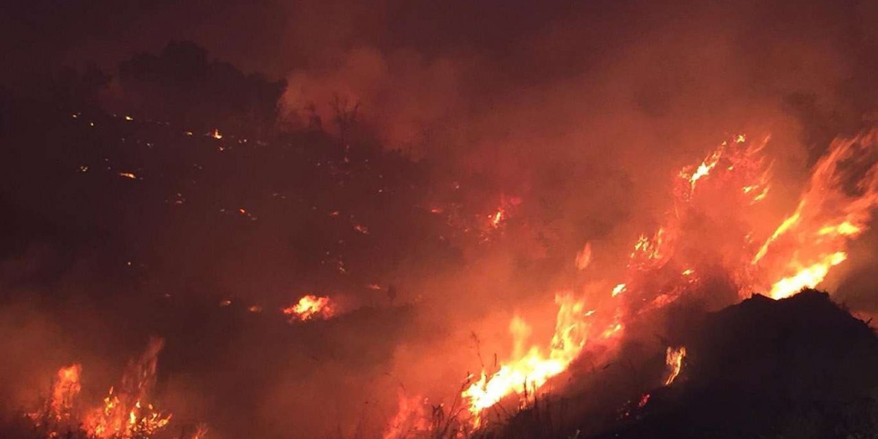 Şewata daristanê ya li Çewligê digel temamê midaxeleyan her ku diçe belav dibe