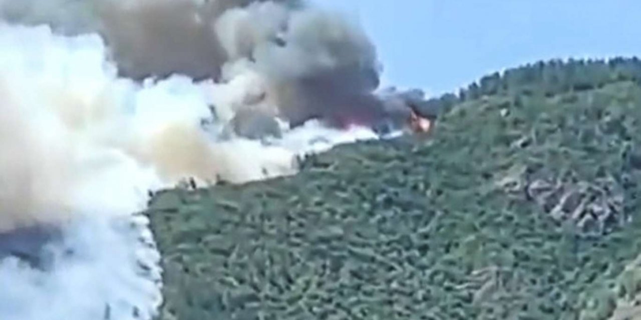 Denizli'deki orman yangını kontrol altına alındı