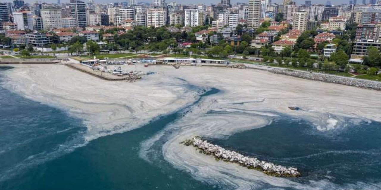 Müsilaj için oluşturulan Bilim Kurulu yarın ilk toplantısını yapacak