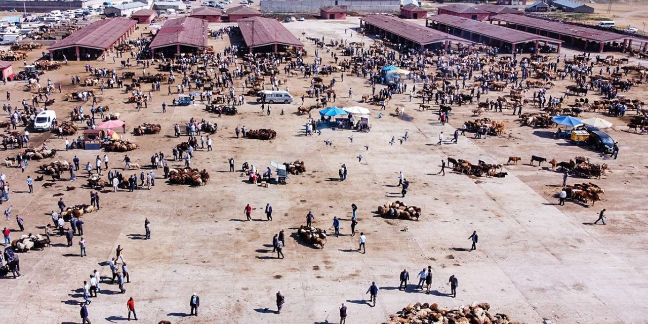 Kurbanda aranan şartlar nelerdir?