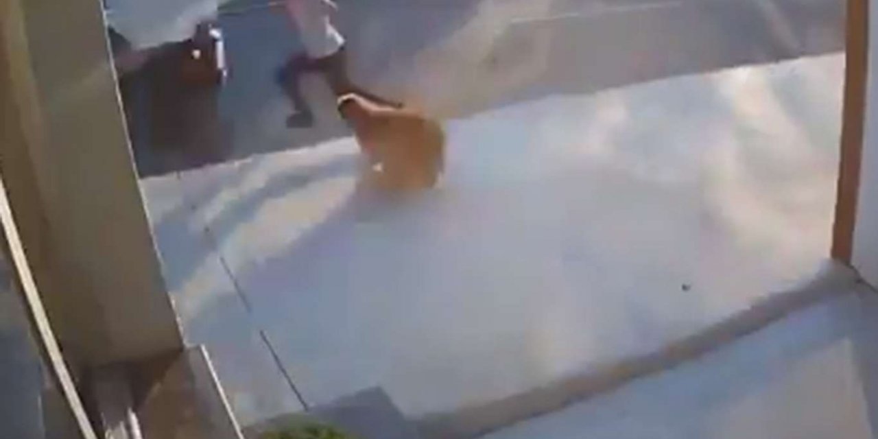 Havlayan köpekten kaçan gence kamyon çarptı