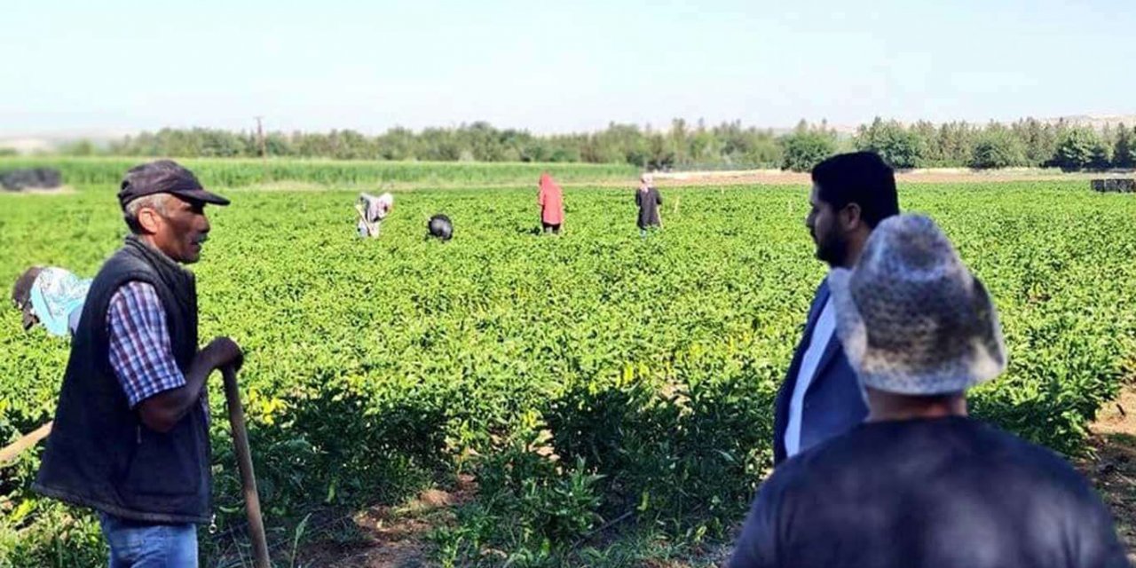 HÜDA PAR Batman Merkez İlçe Başkanı Durmaz: Kuraklık nedeniyle çiftçiye destek verilmeli