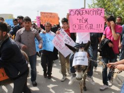Ulaşım çilesine eşekli protesto
