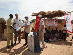 Çad'a 10 kamyon yardım