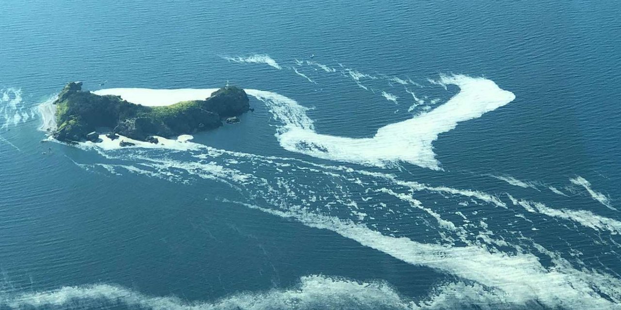 Marmara'da toplam 10 bin 434 metreküp müsilaj temizlendi