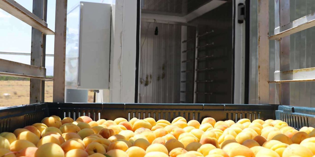 "Kükürtleme odaları" kayısı üreticilerine ekonomik avantaj sağlayacak