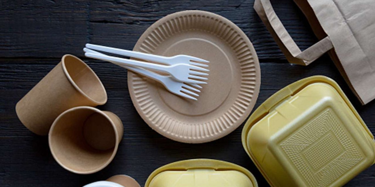 Tek kullanımlık plastik yasağı Avrupa Birliği'nde yürürlüğe girdi