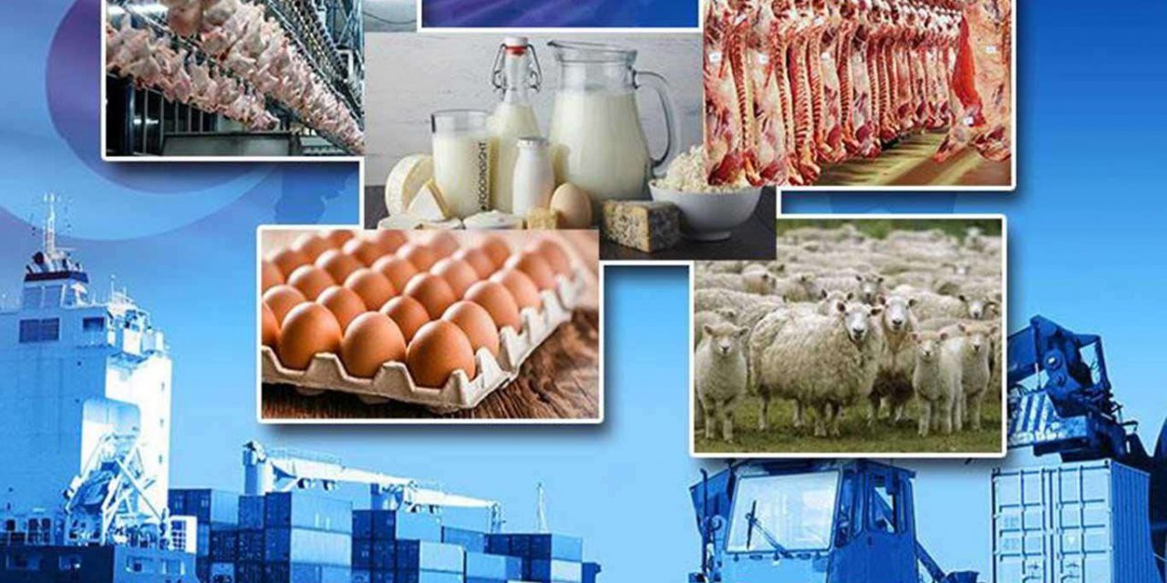 TİM: Tarımın ihracattaki payı yüzde 13 olarak gerçekleşti