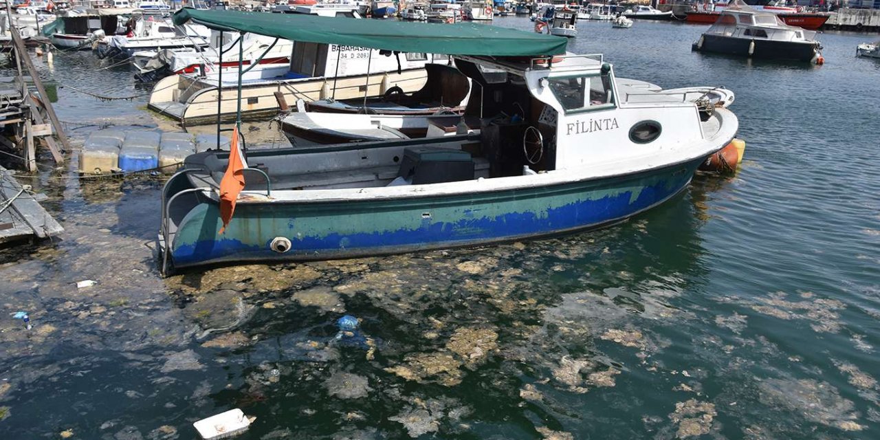 140 tesise yaklaşık 18 milyon TL müsilaj cezası verildi